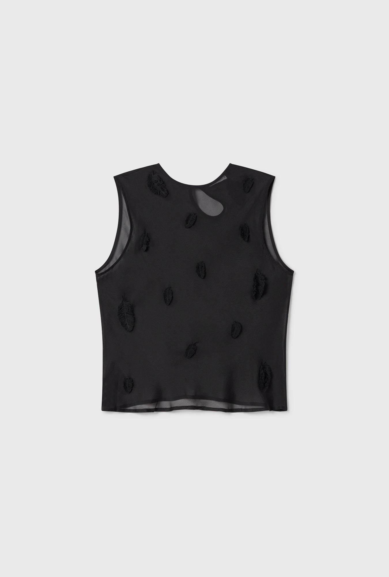Sommet Plume Noir