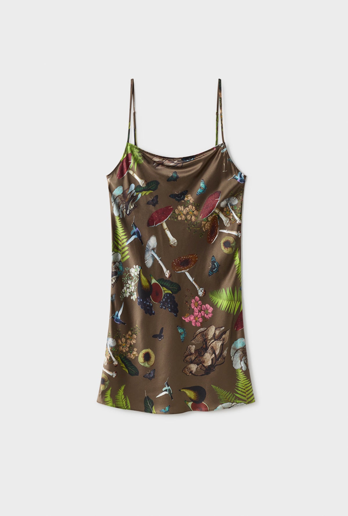 Robe Droite Champignon Magique Terre Sombre