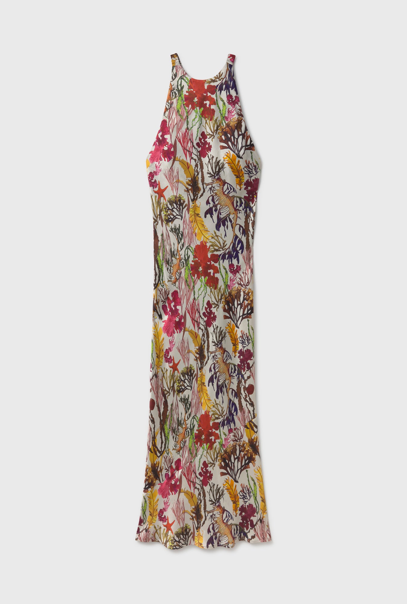 Robe asymétrique planctonique