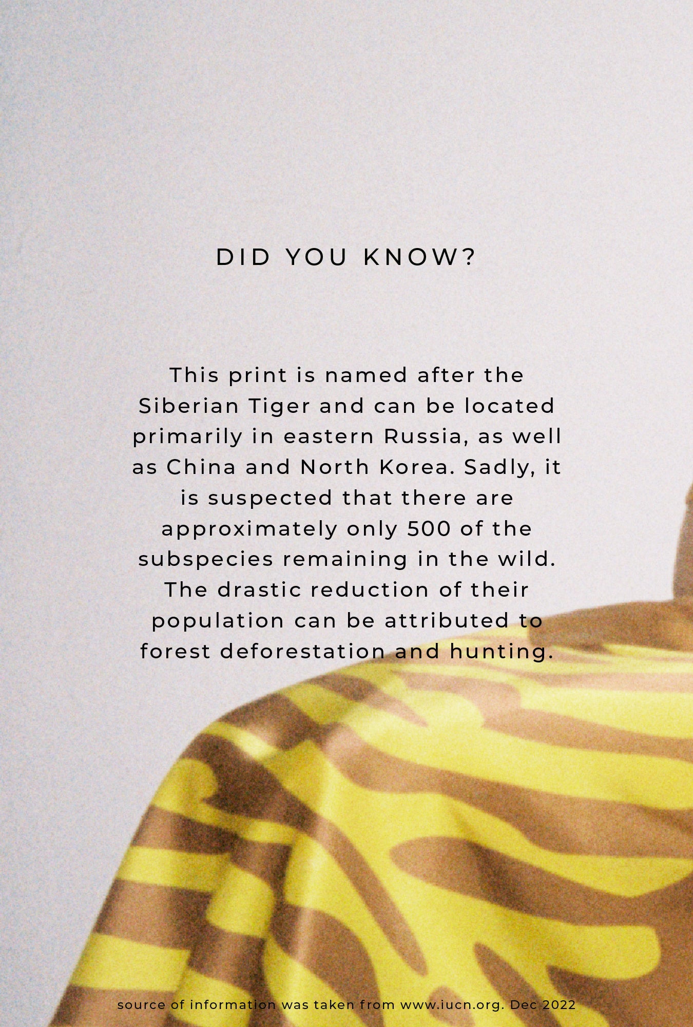 Robe nuisette années 90 Tigre Matisse