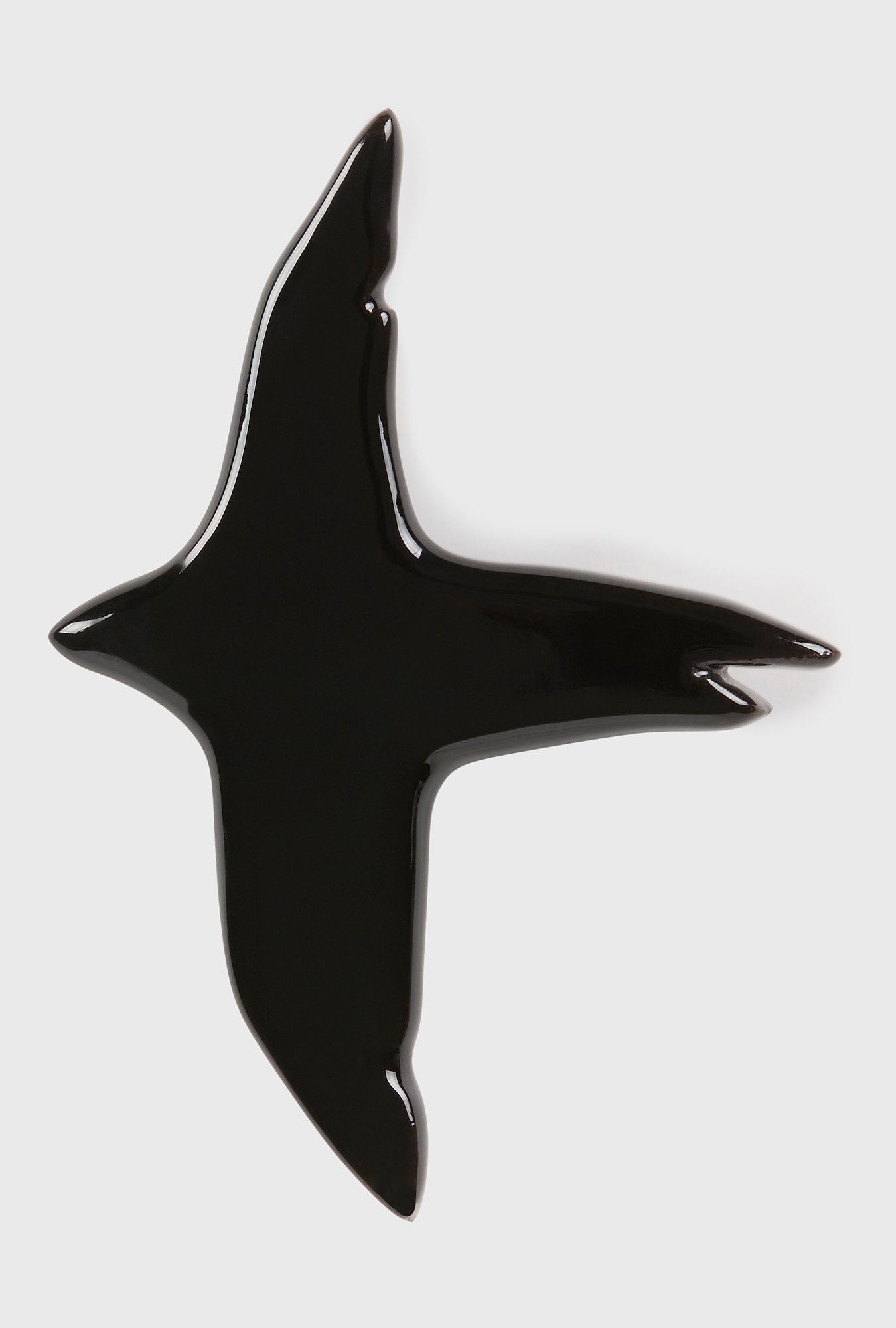 Broche corbeau noire